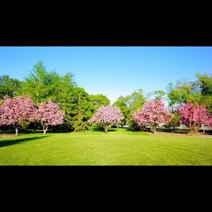 Meet your Posher, Shabana